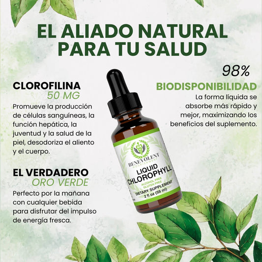 Clorofila Líquida - Benevolent 🌿